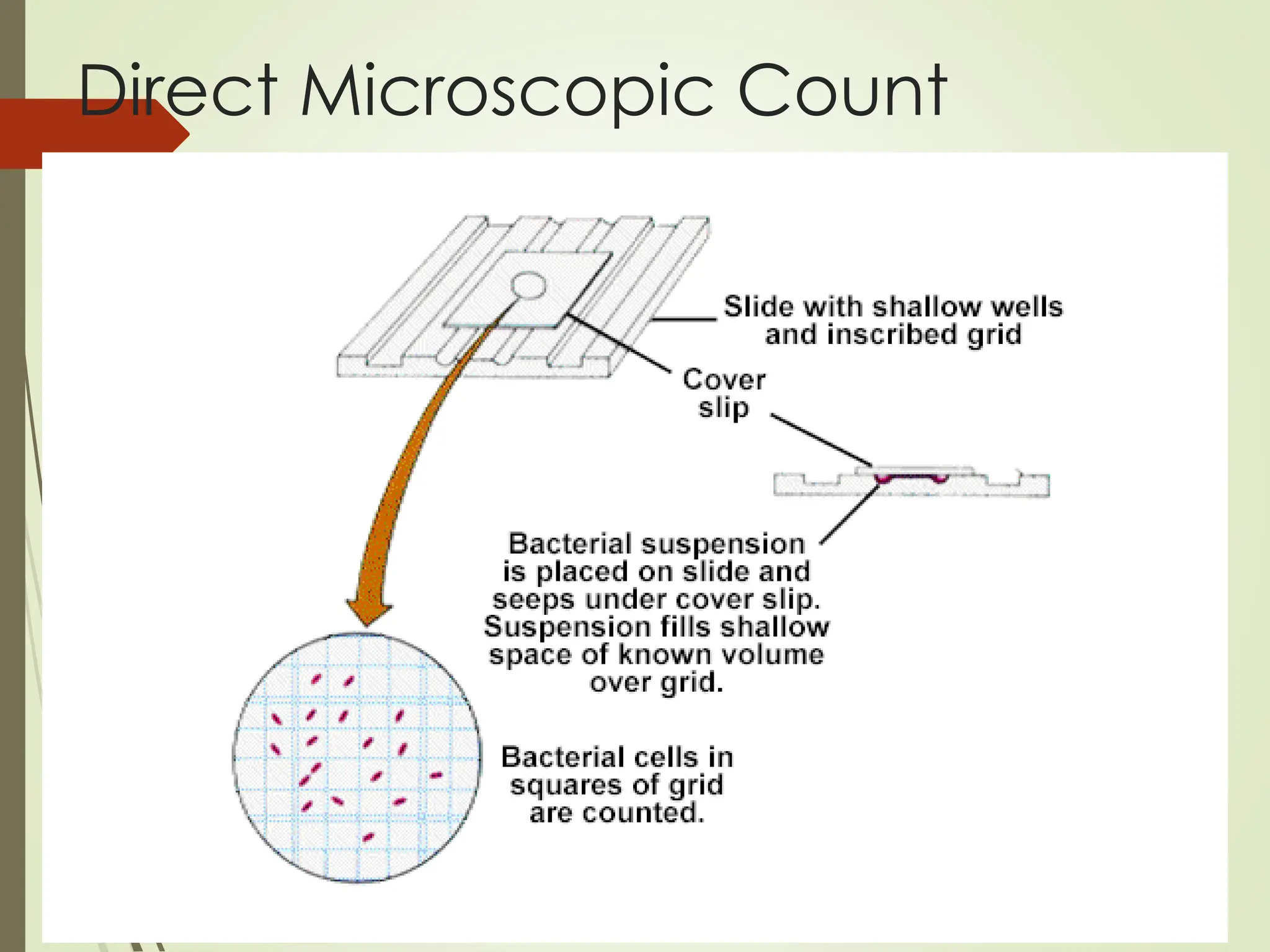 Direct Microscopic Count
 