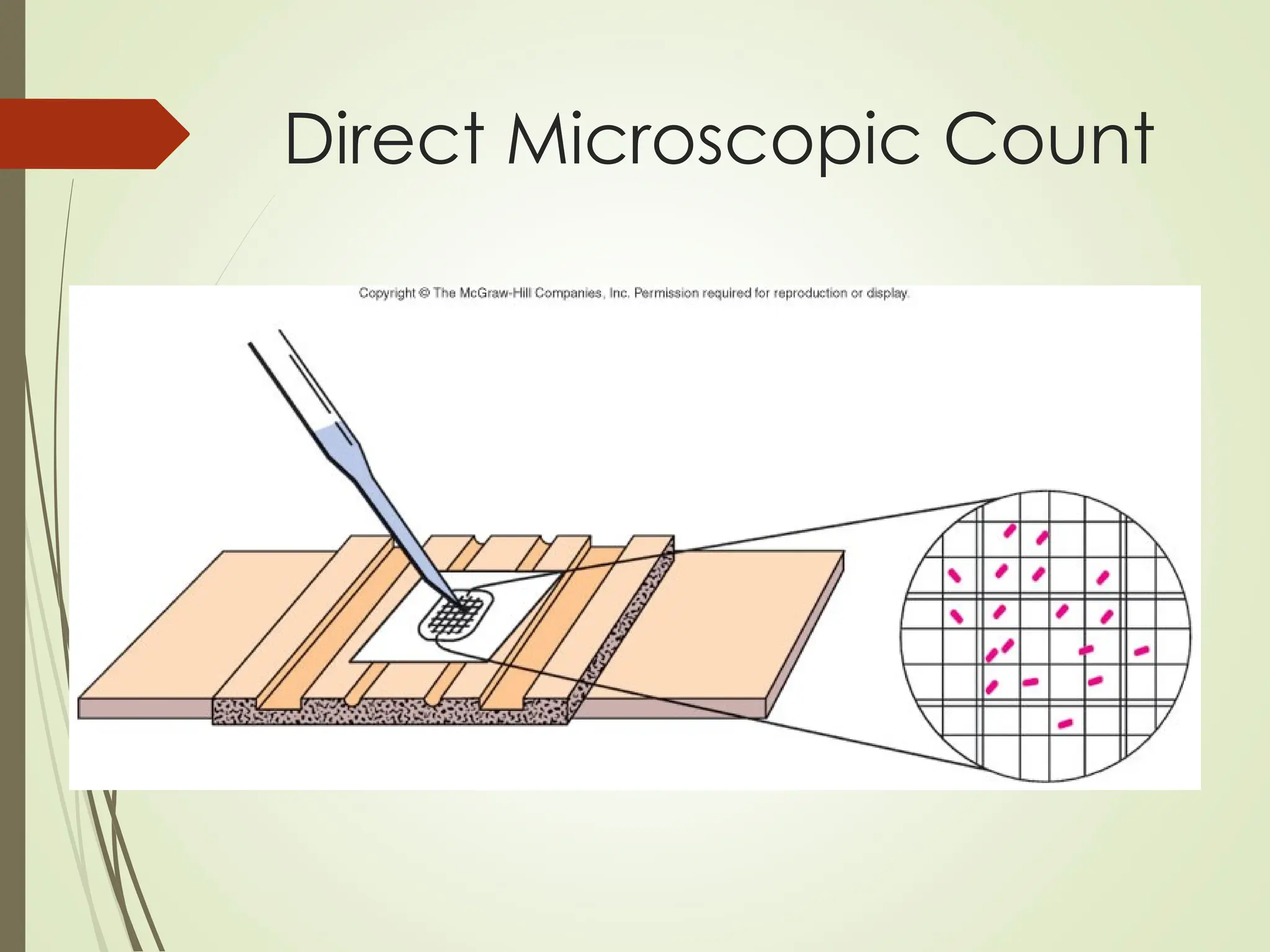 Direct Microscopic Count
 