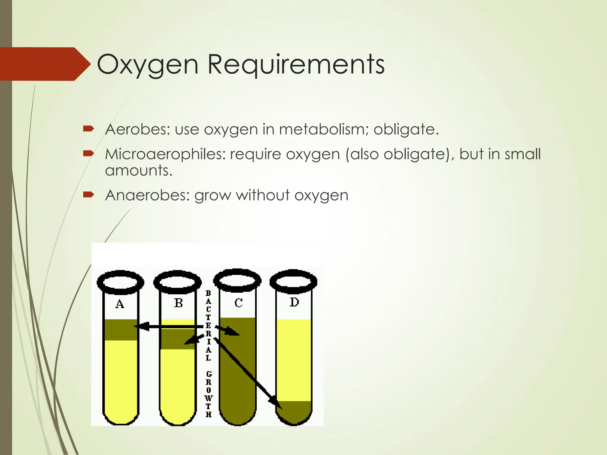 Oxygen Requirements
 Aerobes: use oxygen in metabolism; obligate.
 Microaerophiles: require oxygen (also obligate), but in small
amounts.
 Anaerobes: grow without oxygen
 