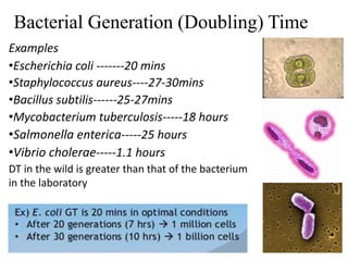 Bacterial growth on the base of different mood | PDF