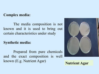 Growth and Growth Pahses of bacterial Growth | PPTX