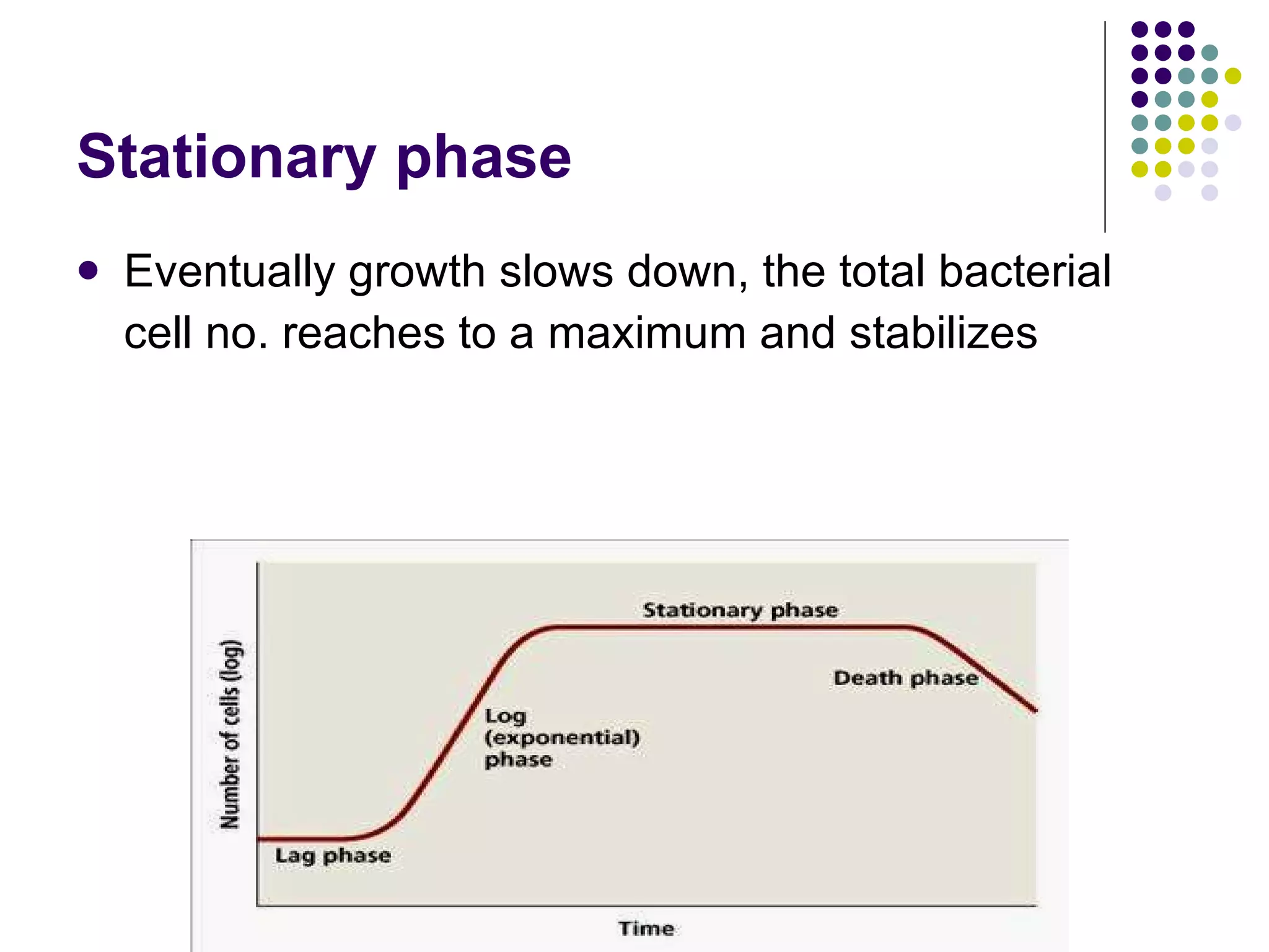 Bacterial Growth And Metabolism | PPT