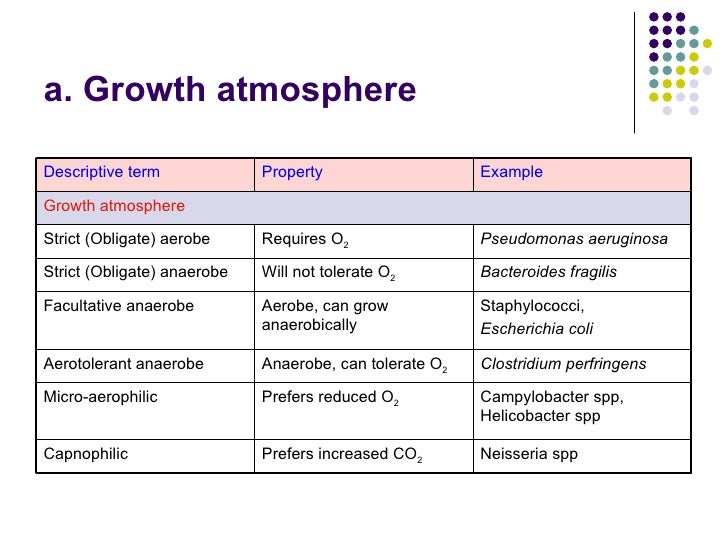 Bacterial Growth And Metabolism