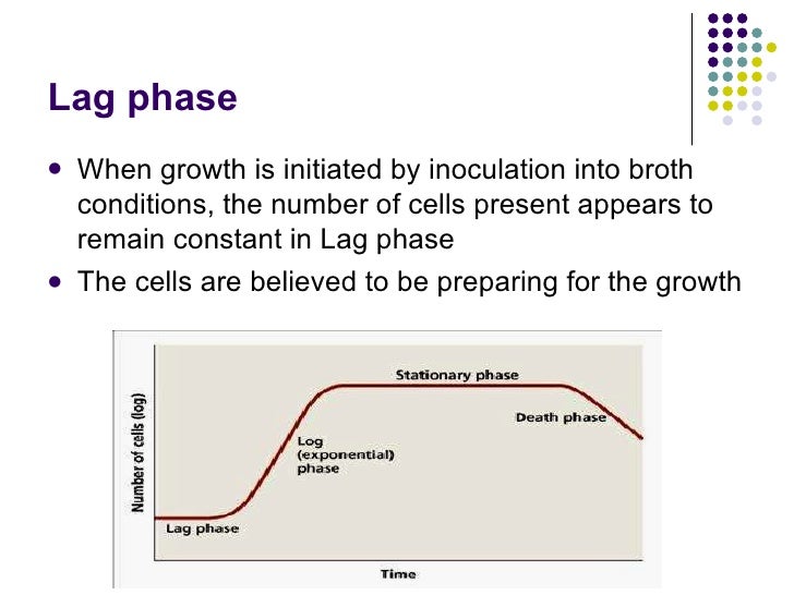Bacterial Growth And Metabolism