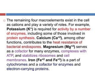 bacterial growth charactrstics.pptx Mbbs | PPTX