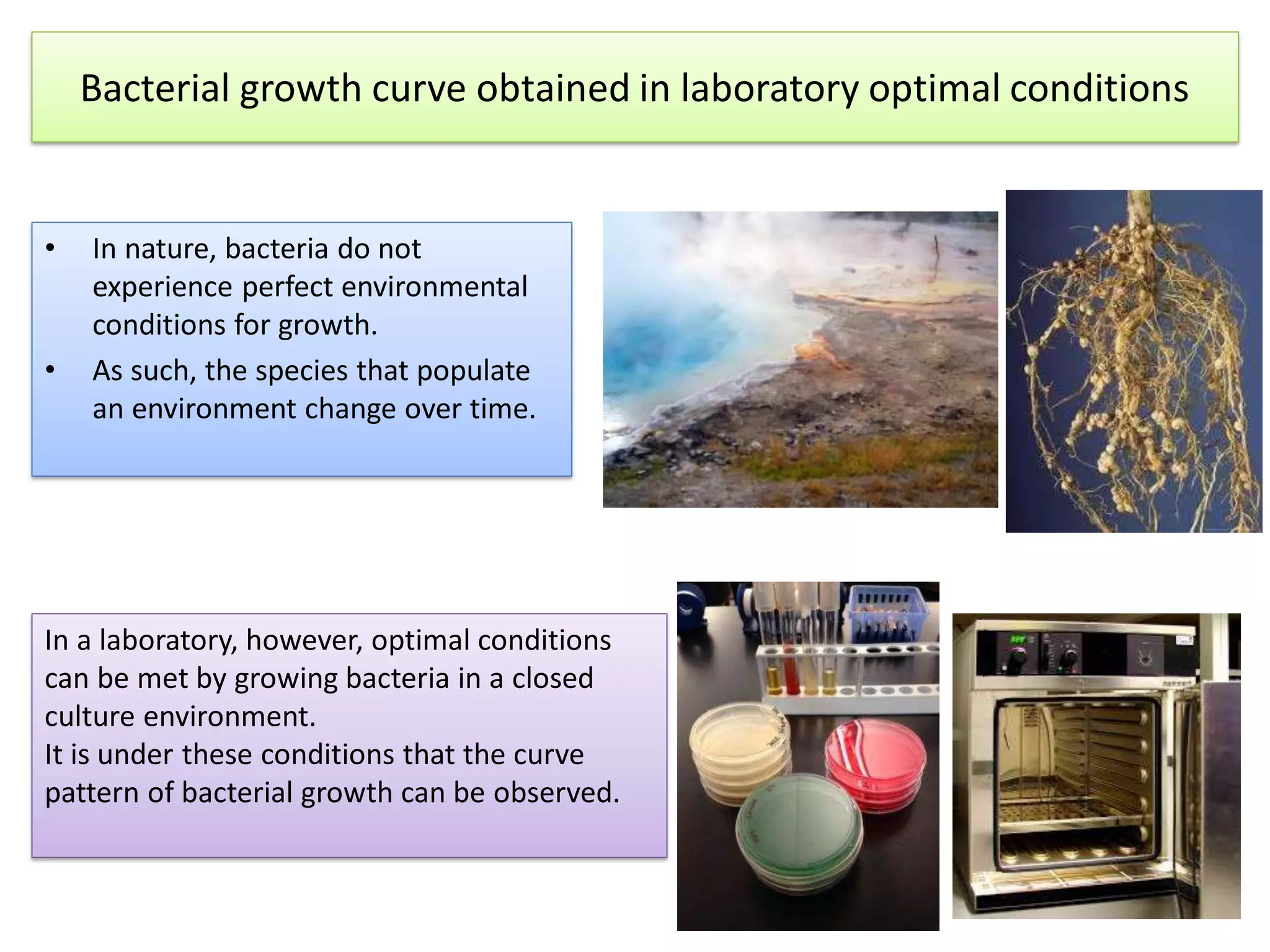 Bacterial growth curve obtained in laboratory optimal conditions
• In nature, bacteria do not
experience perfect environmental
conditions for growth.
• As such, the species that populate
an environment change over time.
In a laboratory, however, optimal conditions
can be met by growing bacteria in a closed
culture environment.
It is under these conditions that the curve
pattern of bacterial growth can be observed.
 