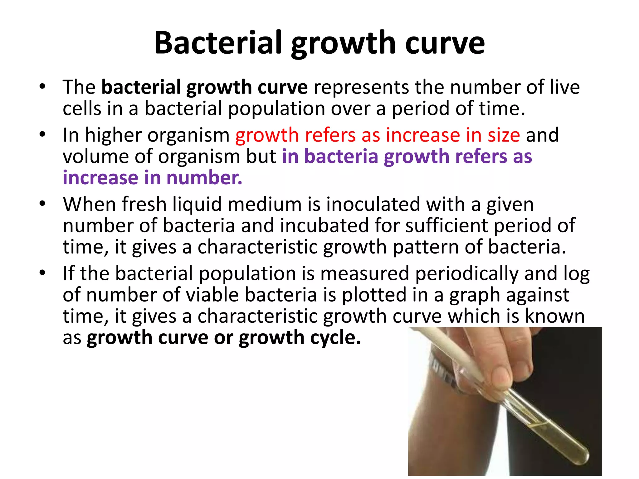 Growth Curve Of Bacteria Bacterial growth curve | PDF