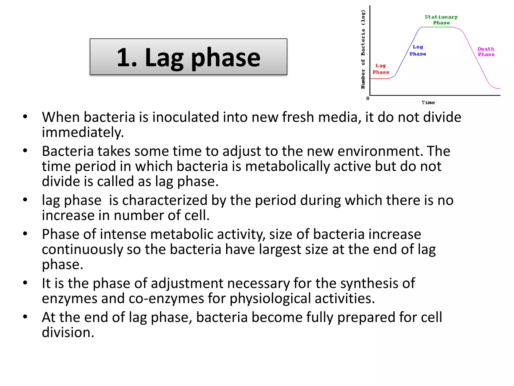 1. Lag phase
• When bacteria is inoculated into new fresh media, it do not divide
immediately.
• Bacteria takes some time to adjust to the new environment. The
time period in which bacteria is metabolically active but do not
divide is called as lag phase.
• lag phase is characterized by the period during which there is no
increase in number of cell.
• Phase of intense metabolic activity, size of bacteria increase
continuously so the bacteria have largest size at the end of lag
phase.
• It is the phase of adjustment necessary for the synthesis of
enzymes and co-enzymes for physiological activities.
• At the end of lag phase, bacteria become fully prepared for cell
division.
 