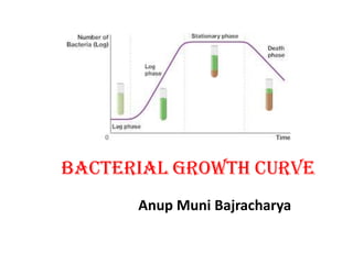 Bacterial Growth Curve Definition Phases And Measurement