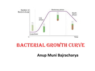 Bacterial Growth Curve
Anup Muni Bajracharya
 