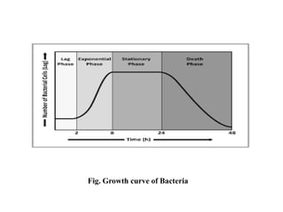 Bacterial Growth Curve. Various phases of growth curve. | PDF