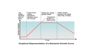 Spring Time Bacteria bacterial growth curve-converted.pdf
