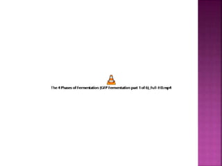 Bacterial growth curves