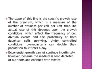  The slope of this line is the specific growth rate
of the organism, which is a measure of the
number of divisions per cell per unit time.The
actual rate of this depends upon the growth
conditions, which affect the frequency of cell
division events and the probability of both
daughter cells surviving. Under controlled
conditions, cyanobacteria can double their
population four times a day.
 Exponential growth cannot continue indefinitely,
however, because the medium is soon depleted
of nutrients and enriched with wastes.
 