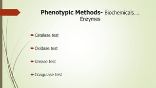 Phenotypic Methods- Biochemicals….
Enzymes
Catalase test
Oxidase test
Urease test
Coagulase test
 