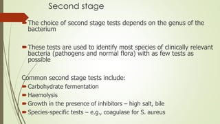 Second stage
The choice of second stage tests depends on the genus of the
bacterium
These tests are used to identify most species of clinically relevant
bacteria (pathogens and normal flora) with as few tests as
possible
Common second stage tests include:
Carbohydrate fermentation
Haemolysis
Growth in the presence of inhibitors – high salt, bile
Species-specific tests – e.g., coagulase for S. aureus
 