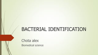 BACTERIAL IDENTIFICATION
Chota alex
Biomedical science
 