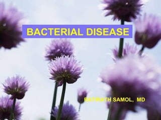 Ratirath Samol, MD. BACTERIAL DISEASE RATIRATH SAMOL,  MD   