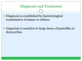 Diagnosis and Treatment
 Diagnosis is established by bacteriological
examination of smear or culture.
 Organism is sensitive to large doses of penicillin or
doxycycline.
 