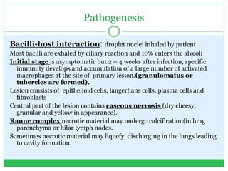 Pathogenesis
Bacilli-host interaction: droplet nuclei inhaled by patient
Most bacilli are exhaled by ciliary reaction and 10% enters the alveoli
Initial stage is asymptomatic but 2 – 4 weeks after infection, specific
immunity develops and accumulation of a large number of activated
macrophages at the site of primary lesion.(granulomatus or
tubercles are formed).
Lesion consists of epithelioid cells, langerhans cells, plasma cells and
fibroblasts
Central part of the lesion contains caseous necrosis (dry cheesy,
granular and yellow in appearance).
Ranne complex necrotic material may undergo calcification(in lung
parenchyma or hilar lymph nodes.
Sometimes necrotic material may liquefy, discharging in the lungs leading
to cavity formation.
 