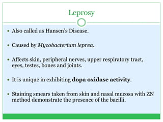 Leprosy
 Also called as Hansen’s Disease.
 Caused by Mycobacterium leprea.
 Affects skin, peripheral nerves, upper respiratory tract,
eyes, testes, bones and joints.
 It is unique in exhibiting dopa oxidase activity.
 Staining smears taken from skin and nasal mucosa with ZN
method demonstrate the presence of the bacilli.
 