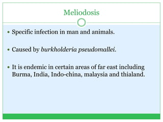 Meliodosis
 Specific infection in man and animals.
 Caused by burkholderia pseudomallei.
 It is endemic in certain areas of far east including
Burma, India, Indo-china, malaysia and thialand.
 