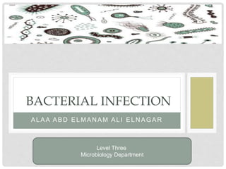 ALAA ABD ELMAN AM ALI ELN AGAR
BACTERIAL INFECTION
Level Three
Microbiology Department
 