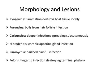 Bacterial infection 2026.pdf ALL ABOUT INFECTOUS DISEASES INCLUDING ...