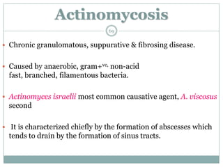 Actinomycosis
 Chronic granulomatous, suppurative & fibrosing disease.
 Caused by anaerobic, gram+ve, non-acid
fast, branched, filamentous bacteria.
 Actinomyces israelii most common causative agent, A. viscosus
second
 It is characterized chiefly by the formation of abscesses which
tends to drain by the formation of sinus tracts.
69
 