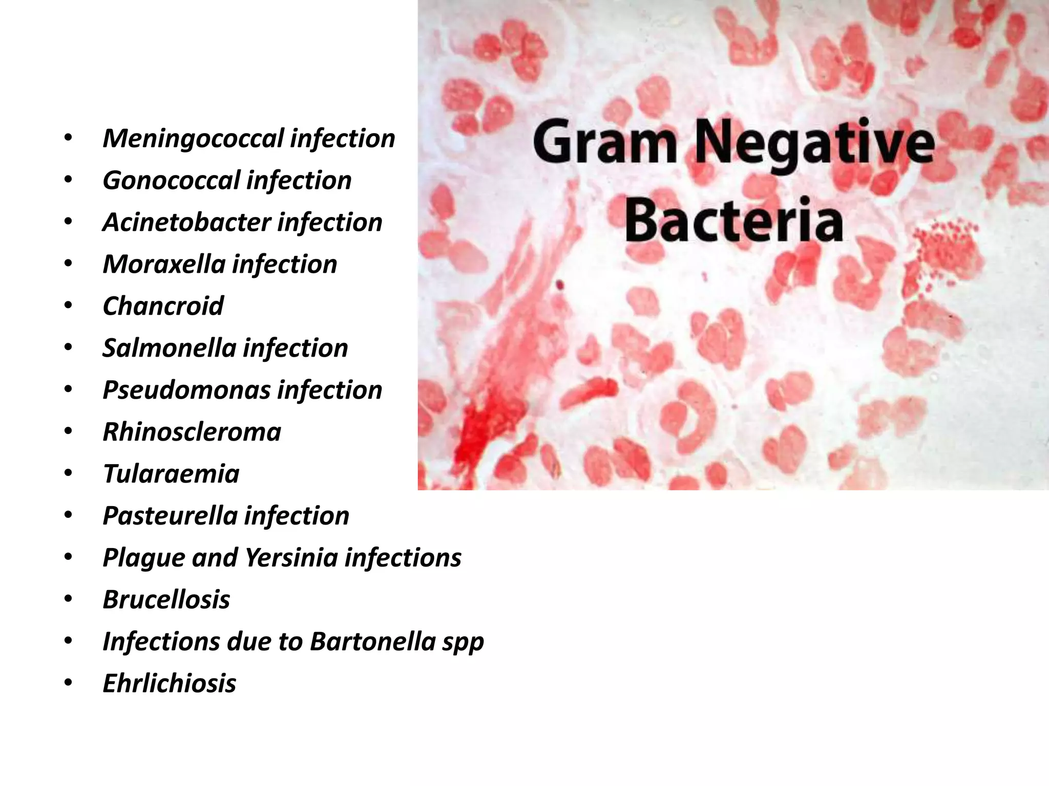 • Meningococcal infection
• Gonococcal infection
• Acinetobacter infection
• Moraxella infection
• Chancroid
• Salmonella infection
• Pseudomonas infection
• Rhinoscleroma
• Tularaemia
• Pasteurella infection
• Plague and Yersinia infections
• Brucellosis
• Infections due to Bartonella spp
• Ehrlichiosis
 