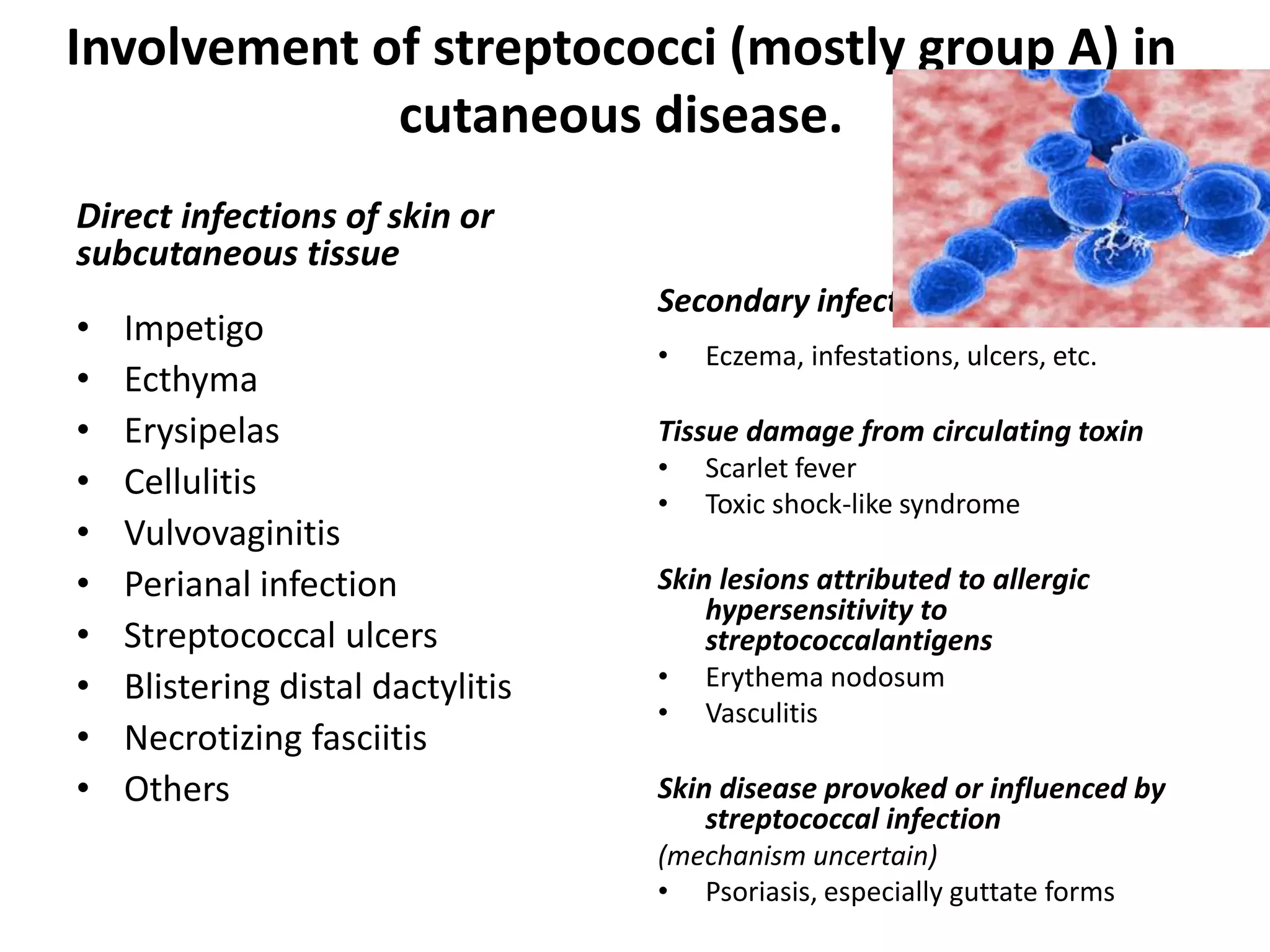 Involvement of streptococci (mostly group A) in
cutaneous disease.
Direct infections of skin or
subcutaneous tissue
• Impetigo
• Ecthyma
• Erysipelas
• Cellulitis
• Vulvovaginitis
• Perianal infection
• Streptococcal ulcers
• Blistering distal dactylitis
• Necrotizing fasciitis
• Others
Secondary infection
• Eczema, infestations, ulcers, etc.
Tissue damage from circulating toxin
• Scarlet fever
• Toxic shock-like syndrome
Skin lesions attributed to allergic
hypersensitivity to
streptococcalantigens
• Erythema nodosum
• Vasculitis
Skin disease provoked or influenced by
streptococcal infection
(mechanism uncertain)
• Psoriasis, especially guttate forms
 