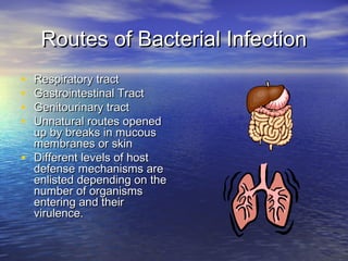Routes of Bacterial InfectionRoutes of Bacterial Infection
• Respiratory tractRespiratory tract
• Gastrointestinal TractGastrointestinal Tract
• Genitourinary tractGenitourinary tract
• Unnatural routes openedUnnatural routes opened
up by breaks in mucousup by breaks in mucous
membranes or skinmembranes or skin
• Different levels of hostDifferent levels of host
defense mechanisms aredefense mechanisms are
enlisted depending on theenlisted depending on the
number of organismsnumber of organisms
entering and theirentering and their
virulence.virulence.
 