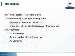 Pyoderma Bacterial Infection Bacterial infections for UG students.pptx
