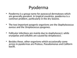 Purulent Pyoderma Comprehensive Overview of Bacterial Skin Infections: Diagnosis and ...
