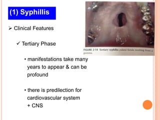 (1) Syphillis

 Clinical Features

    Tertiary Phase

      • manifestations take many
        years to appear & can be
        profound

      • there is predilection for
        cardiovascular system
        + CNS
 