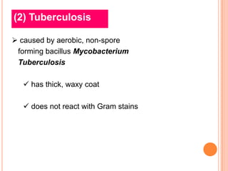 (2) Tuberculosis

 caused by aerobic, non-spore
 forming bacillus Mycobacterium
 Tuberculosis

    has thick, waxy coat

    does not react with Gram stains
 