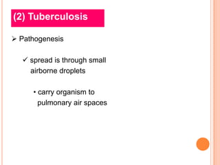 (2) Tuberculosis

 Pathogenesis

   spread is through small
    airborne droplets

     • carry organism to
       pulmonary air spaces
 