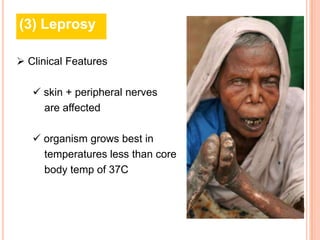 (3) Leprosy

 Clinical Features

    skin + peripheral nerves
     are affected

    organism grows best in
     temperatures less than core
     body temp of 37C
 