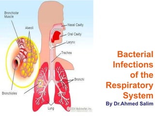 Bacterial
Infections
of the
Respiratory
System
By Dr.Ahmed Salim
 