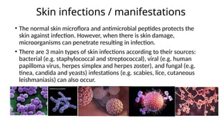 Comprehensive Overview of Bacterial Skin and Soft Tissue Infections ...