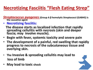 Necrotizing Fasciitis “Flesh Eating Strep”
Streptococcus pyogenes (Group A β hemolytic Streptococci (GABHS) is
the causative agent
• Necrotizing fasciitis:
The disease starts as localized infection that rapidly
spreading cellulitis with necrosis (skin and deeper
fascia; may involve muscle).
• Begin with fever, systemic toxicity and severe pain
• The development of a painful, red swelling that rapidly
progress to necrosis of the subcutaneous tissue and
overlying skin.
• The Invasive & spreading cellulitis may lead to
loss of limb
• May lead to toxic shock
 