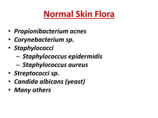 Normal Skin Flora
• Propionibacterium acnes
• Corynebacterium sp.
• Staphylococci
– Staphylococcus epidermidis
– Staphylococcus aureus
• Streptococci sp.
• Candida albicans (yeast)
• Many others
 