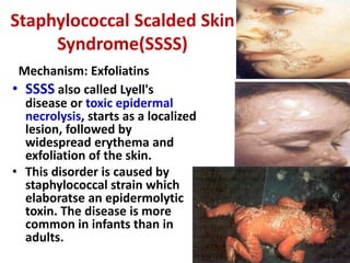Staphylococcal Scalded Skin
Syndrome(SSSS)
Mechanism: Exfoliatins
• SSSS also called Lyell's
disease or toxic epidermal
necrolysis, starts as a localized
lesion, followed by
widespread erythema and
exfoliation of the skin.
• This disorder is caused by
staphylococcal strain which
elaboratse an epidermolytic
toxin. The disease is more
common in infants than in
adults.
 
