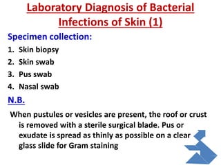 Laboratory Diagnosis of Bacterial
Infections of Skin (1)
Specimen collection:
1. Skin biopsy
2. Skin swab
3. Pus swab
4. Nasal swab
N.B.
When pustules or vesicles are present, the roof or crust
is removed with a sterile surgical blade. Pus or
exudate is spread as thinly as possible on a clear
glass slide for Gram staining
 