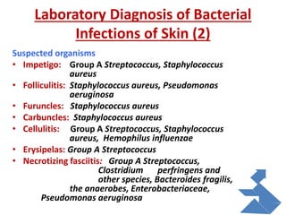 Laboratory Diagnosis of Bacterial
Infections of Skin (2)
Suspected organisms
• Impetigo: Group A Streptococcus, Staphylococcus
aureus
• Folliculitis: Staphylococcus aureus, Pseudomonas
aeruginosa
• Furuncles: Staphylococcus aureus
• Carbuncles: Staphylococcus aureus
• Cellulitis: Group A Streptococcus, Staphylococcus
aureus, Hemophilus influenzae
• Erysipelas: Group A Streptococcus
• Necrotizing fasciitis: Group A Streptococcus,
Clostridium perfringens and
other species, Bacteroides fragilis,
the anaerobes, Enterobacteriaceae,
Pseudomonas aeruginosa
 