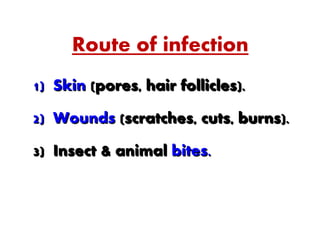 Route of infection
1) Skin (pores, hair follicles).
2) Wounds (scratches, cuts, burns).
3) Insect & animal bites.
 