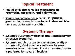 Topical Treatment
• Topical antibiotics contain a combination of:
neomycin, bacitracin, and polymyxin.
• Some newer preparations contain: mupirocin,
gramicidin, or erythromycin, and others combine
these antibiotics with steroids.
Systemic Therapy
• Systemic treatment with antibiotics is mandatory for
extensive pyoderma.
• Systemic antibiotics can be administered orally or
parenterally. Oral therapy is sufficient for most
extensive dermal infections, but the parenteral route
is preferred for severe infections.
 