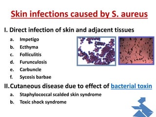 Skin infections caused by S. aureus
I. Direct infection of skin and adjacent tissues
a. Impetigo
b. Ecthyma
c. Folliculitis
d. Furunculosis
e. Carbuncle
f. Sycosis barbae
II.Cutaneous disease due to effect of bacterial toxin
a. Staphylococcal scalded skin syndrome
b. Toxic shock syndrome
 