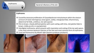 Bacteria Patch Bacterial infections of the skin.pptx