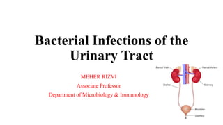 Bacterial Infections of the
Urinary Tract
MEHER RIZVI
Associate Professor
Department of Microbiology & Immunology
 